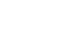 Icon 88